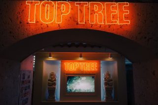 Sky Bar TOP TREE 会場写真 - 2